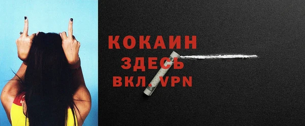 соль ск Абаза
