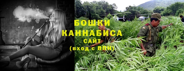 PSILOCYBIN Ачинск