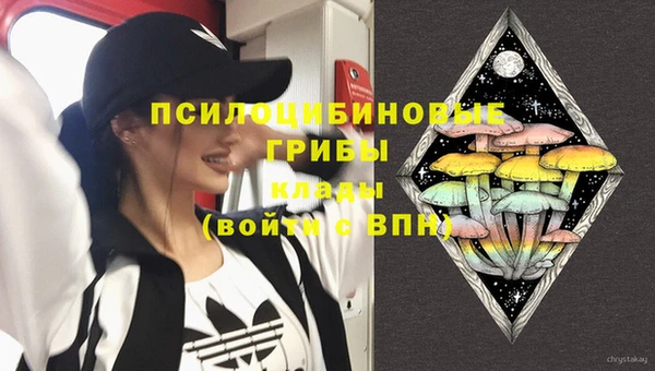 2c-b Алексин