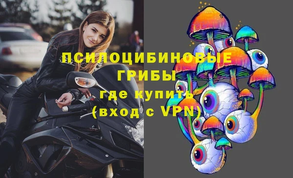 молекула духа Нефтекумск