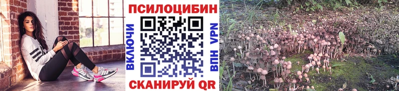 Галлюциногенные грибы Psilocybe  Тюмень 