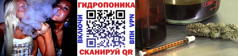 Конопля White Widow где купить наркоту blacksprut онион Тюмень